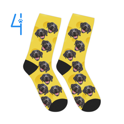 Personalized Socks Featuring Your Pet