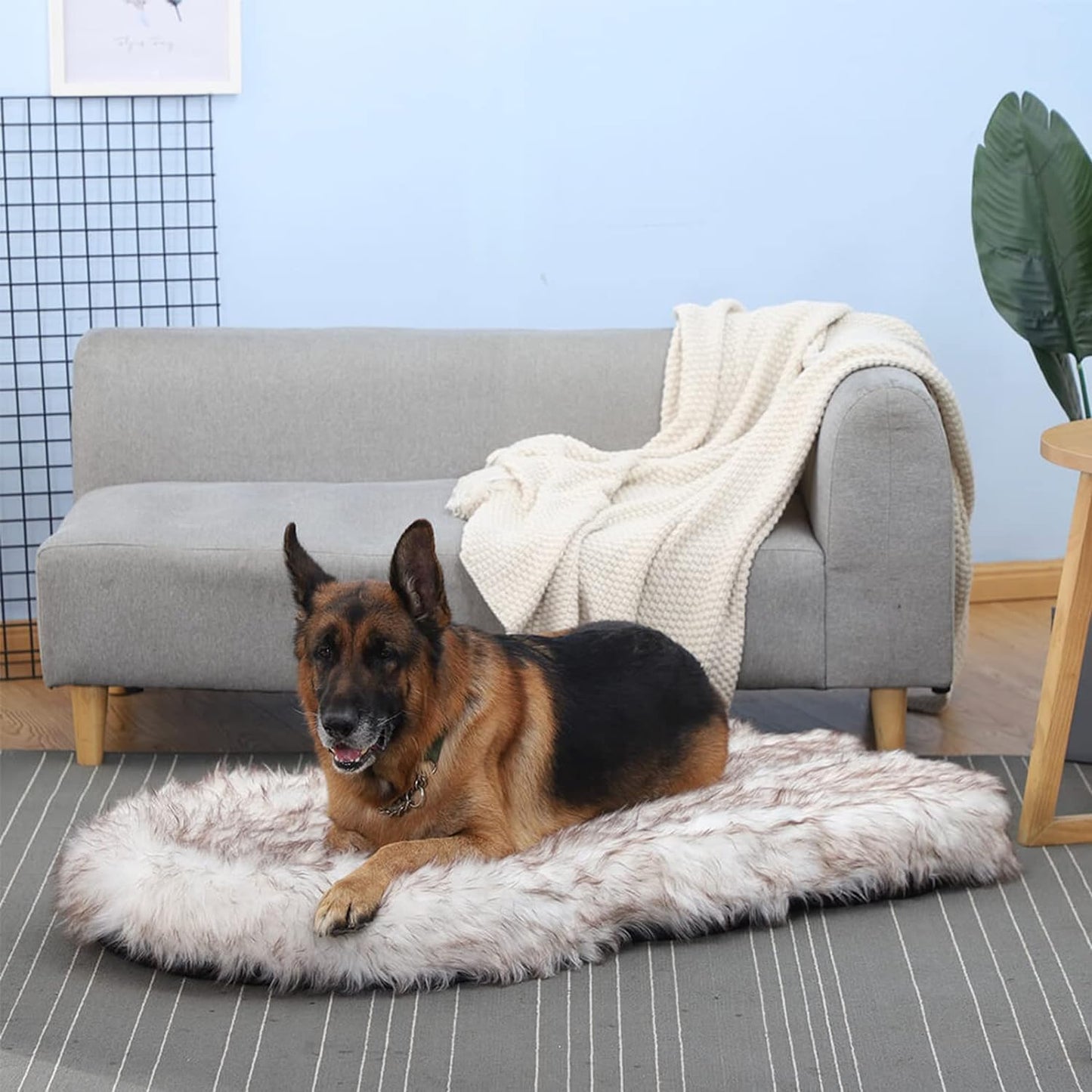 Luxury Faux Fur Dog Bed