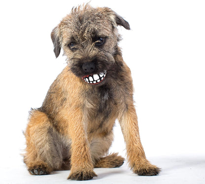 Funny Dog Chew Toy Ball with Teeth Design: Hours of Fun