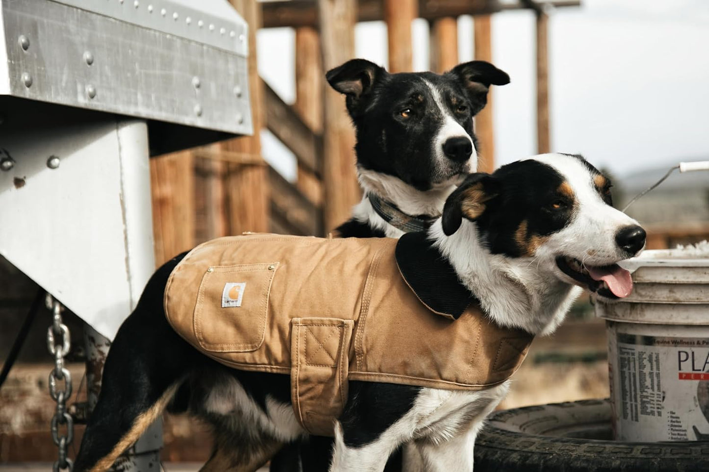 Carhartt Men's Firm Duck Insulated Dog Chore Coat